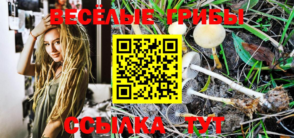 Галлюциногенные грибы мухоморы  Вход с VPN  Галлюциногенные грибы Psilocybe  Улан-Удэ 